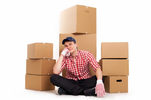 Professional removal services in action